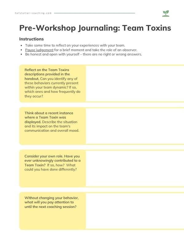 Pre-Workshop Journaling Team Toxins thumbnail