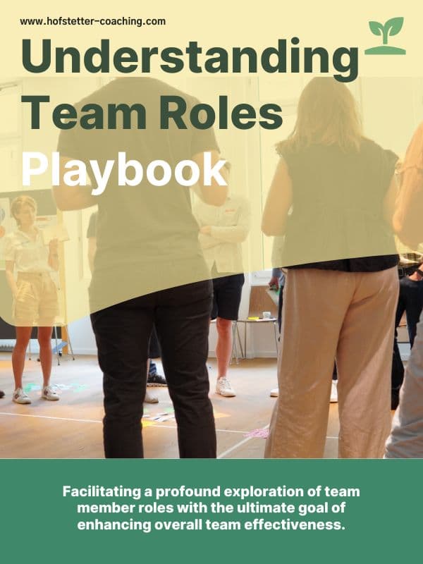 Understanding Team Roles thumbnail