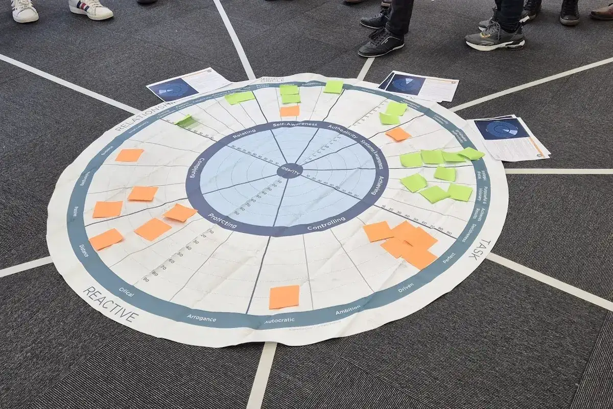 Embodied Leadership Coaching